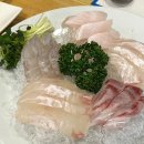 윤수산 | 윤수산 / 망원동 맛집 / 망원동 횟집 / 찐솔직후기
