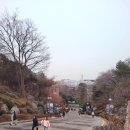 피케이이엔티