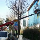 영중초교 이미지