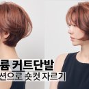 미용학개론 이미지