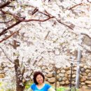 연꽃노인요양원 이미지