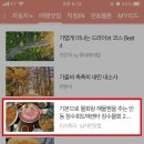 장수회도매센타 이미지