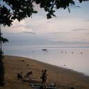 로그인편의점 | 2026-02 발리 서핑캠프 '로그인서프' 다녀온 후기