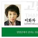 들돌길 이미지