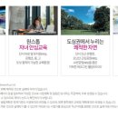 은계)텃밭은계 이미지