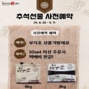 김장김치 주문 추천 여수갓김치 맛을 볼 수 있는 돌산수연갓김치 먹어본 후기