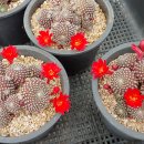 거창농장 이미지