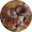 버섯 종류 & 효능 자연건강식 이미지