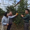 거농농장 이미지