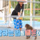 순동목장 이미지