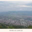 고래와새우