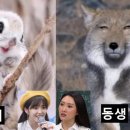 모텔알(R) 이미지