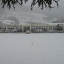 회덕초교 이미지