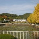 이반성초등학교 이미지