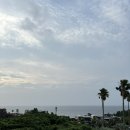 제주벅스코리아 이미지