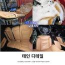 사라져가는문자들의정 | [내돈내산] 태인 디테일링 실내클리닝, 아기가 쏟은 우유 썩은 냄새까지 완벽하게 잡은 후기