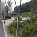 애기능약수터 이미지