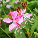 소사는집 이미지