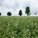 무장농협하나로마트 이미지