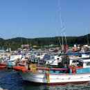 채석포항 이미지