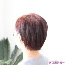 살롱드봄봄 이미지