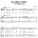 성가 - C.Cremer / Ave Maria Stella 바다의별 성모 이미지