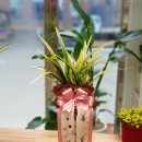 현풍119안전센터 이미지