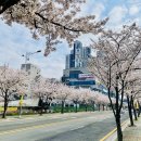 [경남/창원 횟집] 진해 동부회센터 후기