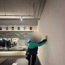 (주)진용 | 옥정 PT 전문 힙핏PT플러스 | 최진용 트레이너 재활PT 5회차 후기