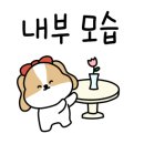 고기잡스옥정 이미지