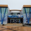 그린찻집울진해맞이케이블카 | 경북 울진 여행 코스 울진아쿠아리움 후기 니모 상어 수달 물범 거북이