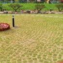 카푸치노펜션 이미지