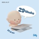 (주)지브이소프트컴퍼니 | 임신 29주차 일상ㅣ왓츠 인 마이 산모일기