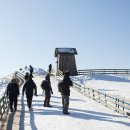 삼양목장 이미지