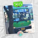 보성운수차고지 맞은편 | |251230| 5615번을 완주하~쇼!쇼!쇼!