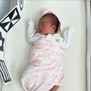 신생아 침대 리안드림콧 코지베이지 내돈내산 구매 후기 (구매이유, 사용기간, 핫딜 가격, 구매 꿀팁)