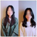 원주미용실