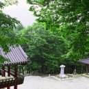 영주 비로사 석조아미타여래좌상 | 영주 소백산 비로사... 140715..