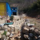 늘푸른염소농장 이미지