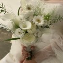 그린공판장 | [Wedding #24] 스튜디오 웨딩 촬영 부케 셀프 준비 내돈내산 솔직 후기(진플라워, 블레스드플라워마켓)