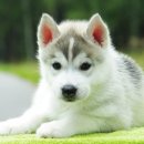 나래약국 이미지