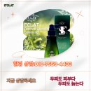 클라 헤드스파