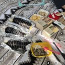 백범로 101번길 이미지