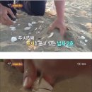해솔로 이미지