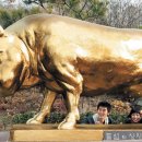 황금돼지동상 이미지