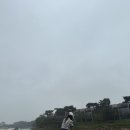 월평지 | [당진 파인스톤CC 후기] 비 오는 날에도 예뻤던 평지형 명문 골프장⛳