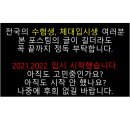 드림체대입시