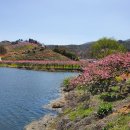 복사꽃향기 이미지