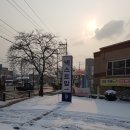 넥스트맘고양아가방 이미지