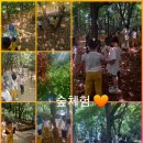 한우리썸머힐어린이집 이미지